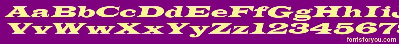 LatinWideextoblNormal Font – Yellow Fonts on Purple Background