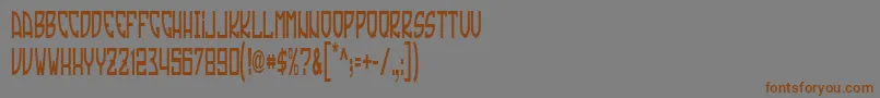 TradizioneSlim Font – Brown Fonts on Gray Background