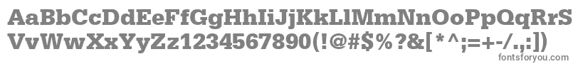 フォントSerifaLt75Black – 白い背景に灰色の文字