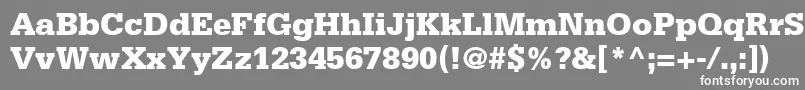 フォントSerifaLt75Black – 灰色の背景に白い文字