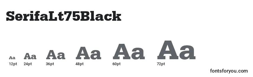 SerifaLt75Black Font Sizes