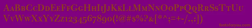 BulmerMtSemiboldSc Font – Brown Fonts on Purple Background