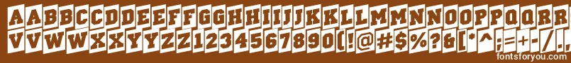 Шрифт ACampuscmup – белые шрифты на коричневом фоне