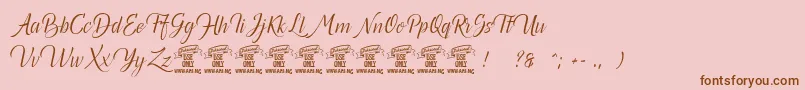 Canelabarkpersonal Font – Brown Fonts on Pink Background