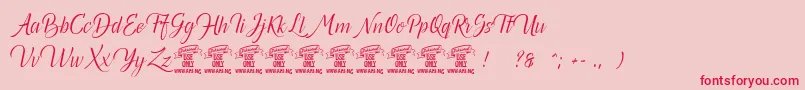 Canelabarkpersonal Font – Red Fonts on Pink Background