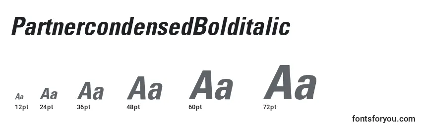 PartnercondensedBolditalic Font Sizes