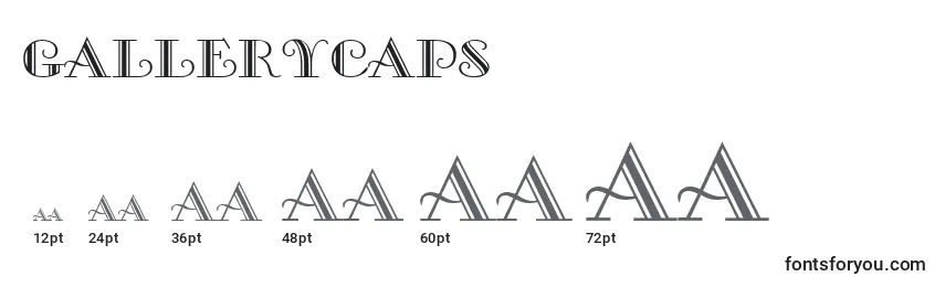 Размеры шрифта GalleryCaps