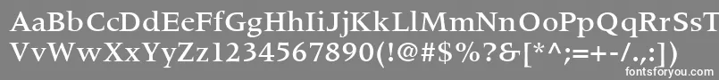 フォントCoherentMediumSsiMedium – 灰色の背景に白い文字