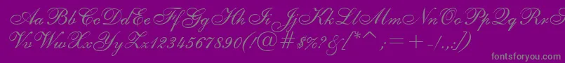 Tt0594m Font – Gray Fonts on Purple Background