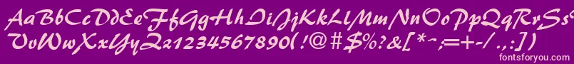 BrushflashRegular Font – Pink Fonts on Purple Background