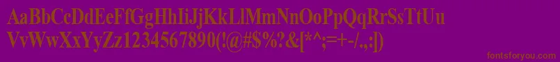 TimeRoman80b Font – Brown Fonts on Purple Background