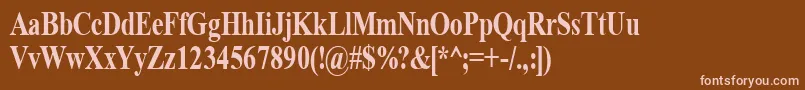 TimeRoman80b Font – Pink Fonts on Brown Background