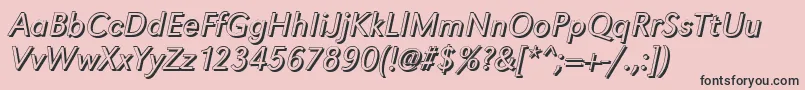 GroteskshLightItalic Font – Black Fonts on Pink Background