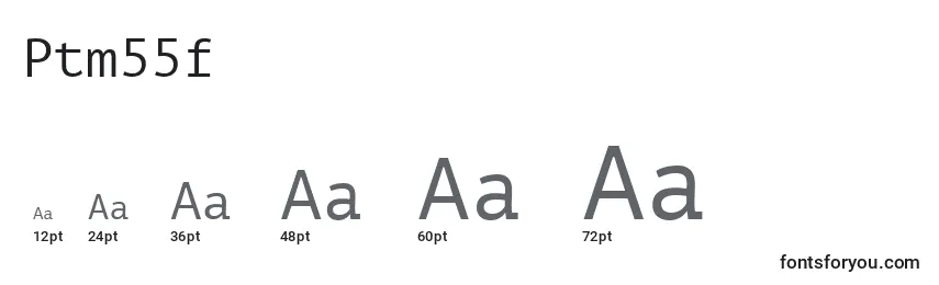 Größen der Schriftart Ptm55f