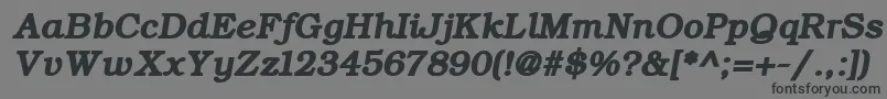 ErBukinistKoi8RBoldItalic Font – Black Fonts on Gray Background