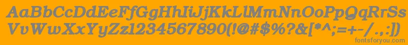 ErBukinistKoi8RBoldItalic Font – Gray Fonts on Orange Background