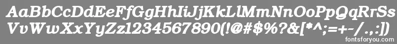 ErBukinistKoi8RBoldItalic Font – White Fonts on Gray Background
