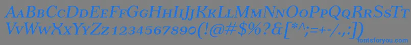 TusarscItalicフォントについての詳細 フォントTusarscItalic – 灰色の背景に青い文字