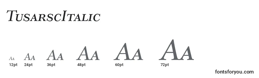 Размеры шрифта TusarscItalic