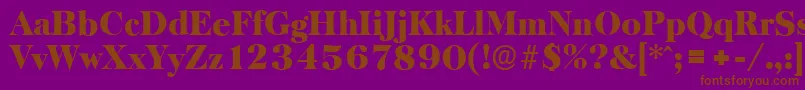 BaskervilleserialBlackRegular Font – Brown Fonts on Purple Background