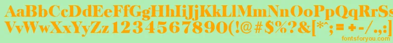 BaskervilleserialBlackRegular Font – Orange Fonts on Green Background
