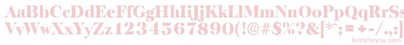 BaskervilleserialBlackRegular Font – Pink Fonts on White Background
