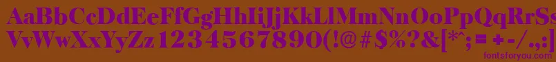 BaskervilleserialBlackRegular Font – Purple Fonts on Brown Background