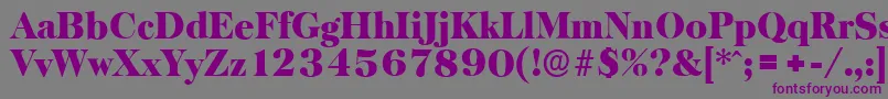BaskervilleserialBlackRegular Font – Purple Fonts on Gray Background