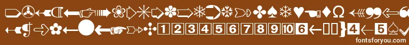 DatasymddbNormal Font – White Fonts on Brown Background
