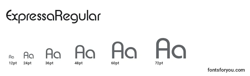 ExpressaRegular Font Sizes