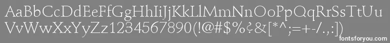 StempelSchneidlerLtLight Font – White Fonts on Gray Background