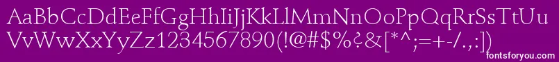 StempelSchneidlerLtLight Font – White Fonts on Purple Background