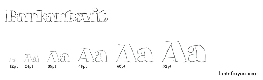 Размеры шрифта Barkantsvit
