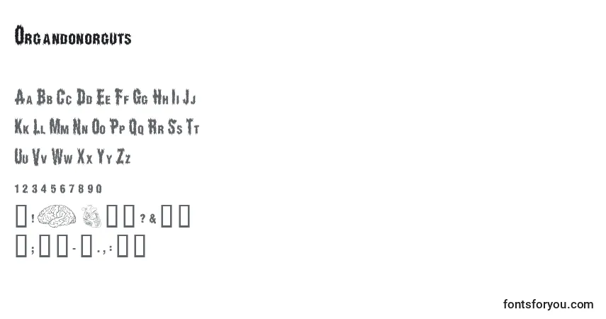 Czcionka Organdonorguts – alfabet, cyfry, specjalne znaki