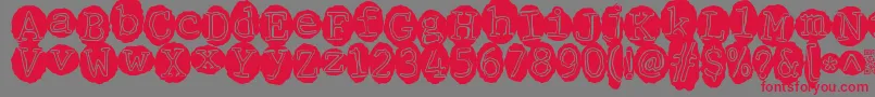 Meltingrecordsフォントについての詳細 フォントMeltingrecords – 赤い文字の灰色の背景