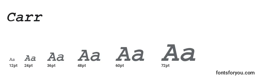 CarrierBoldOblique Font Sizes