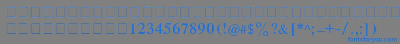 CyrillictimesRoman Font – Blue Fonts on Gray Background