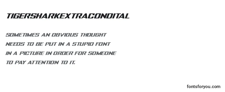 Tigersharkextracondital Font