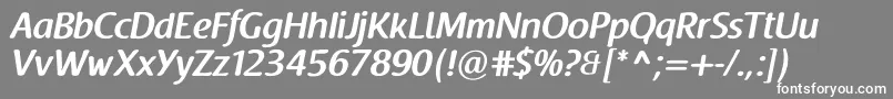 フォントRaspoutinedemiboldTb – 灰色の背景に白い文字