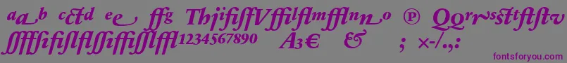 Czcionka SabonnextLtExtraBoldItalicAlternate – fioletowe czcionki na szarym tle