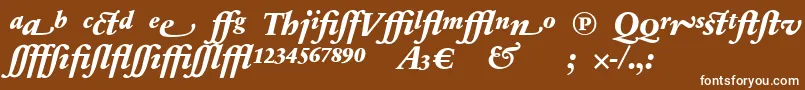 フォントSabonnextLtExtraBoldItalicAlternate – 茶色の背景に白い文字