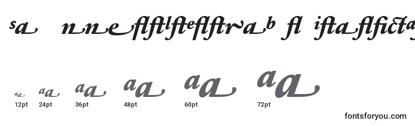 Größen der Schriftart SabonnextLtExtraBoldItalicAlternate