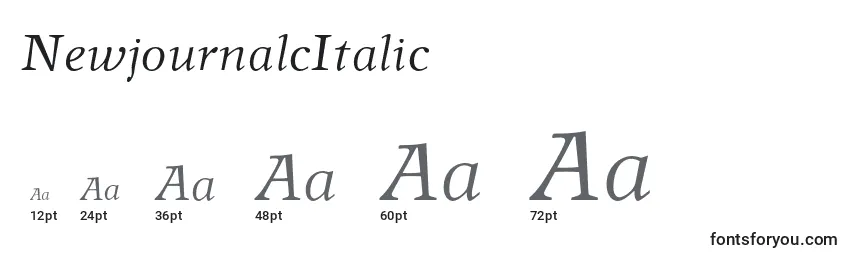 NewjournalcItalic Font Sizes