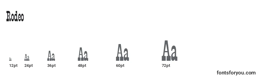Rodeo Font Sizes
