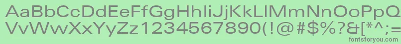 Шрифт UniversNextProExtended – серые шрифты на зелёном фоне