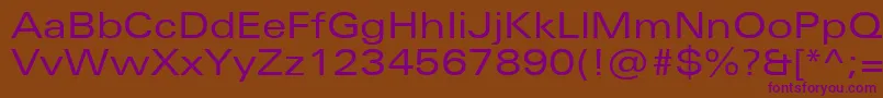 UniversNextProExtended Font – Purple Fonts on Brown Background