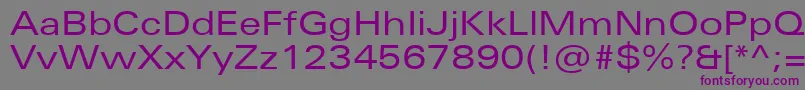 UniversNextProExtended Font – Purple Fonts on Gray Background