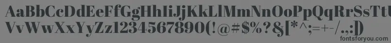 フォントAbrilFatface – 黒い文字の灰色の背景