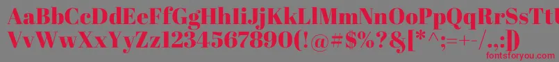 AbrilFatface Font – Red Fonts on Gray Background