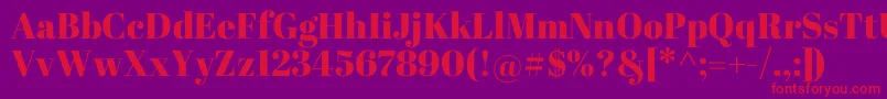 AbrilFatface Font – Red Fonts on Purple Background